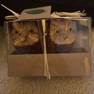 💥5 for $20💥Owl ornaments